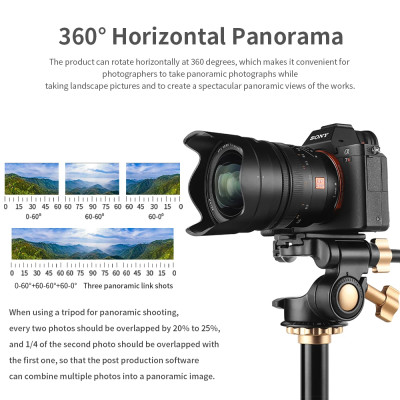 Kiwi KWBH-2 tripod ball head