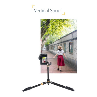 QZSD Q555 Profesionálny statív, statív + monopod + guľová hlava