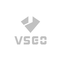 VSGO